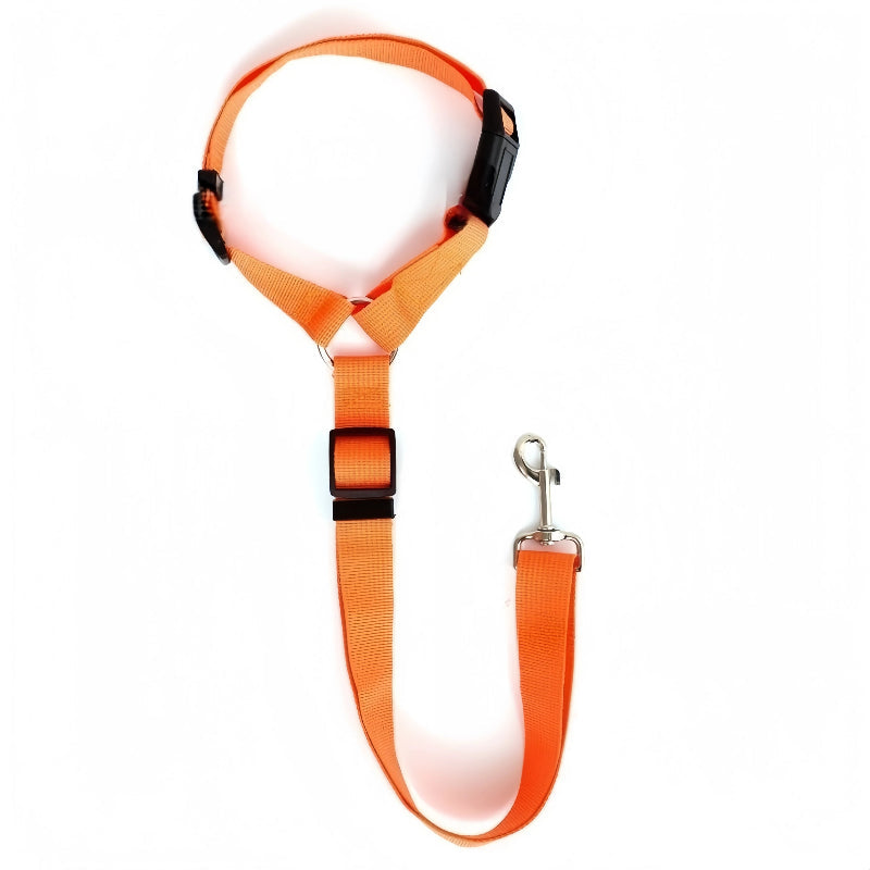 SafeRide DuoLeash – 2-in-1 Car Seat Belt & Walking Leash for Dogs on the Move